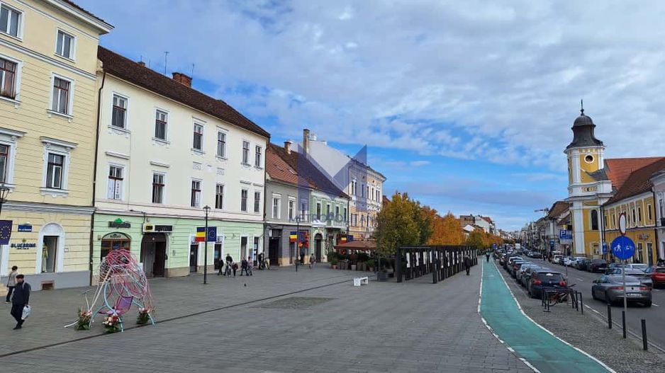 [ Ocazie rară ] Apartament maiestuos, Bd. Eroilor, etaj 1 - Poză 2