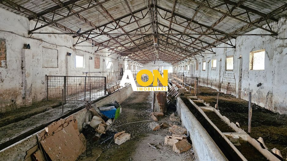 2 Hale pt.depozitare sau productie, 6100 teren, Lunca Muresului - Poză 11