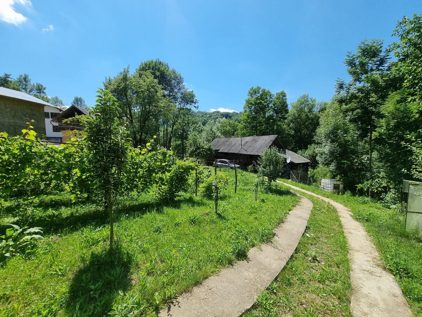 Casa de la marginea padurii! - Poză 11