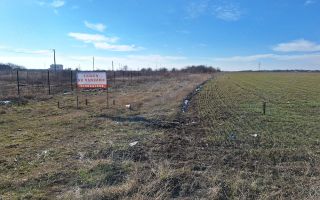 Teren intravilan Peris 12euro - Poză 3