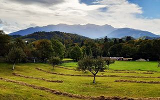 Teren superb de 16240mp, parcelabil, in Bran la intrare in Moeciu de Jos - Poză 9