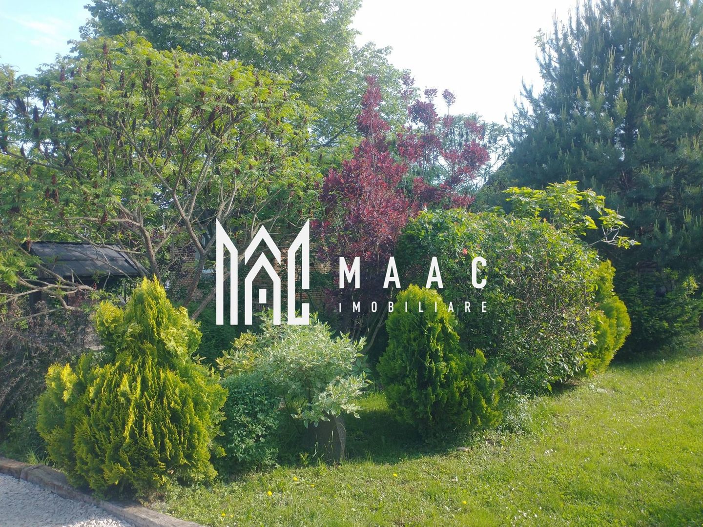 Casă de vânzare în Bazna | 0,75 ha teren | 3 CF - Poză 6