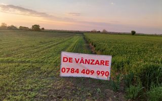 DÂRZA - TEREN INTRAVILAN - Poză 1