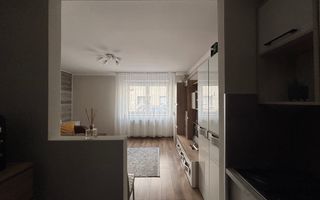BRASADAS vinde garsoniera la PARTER - Poză 3