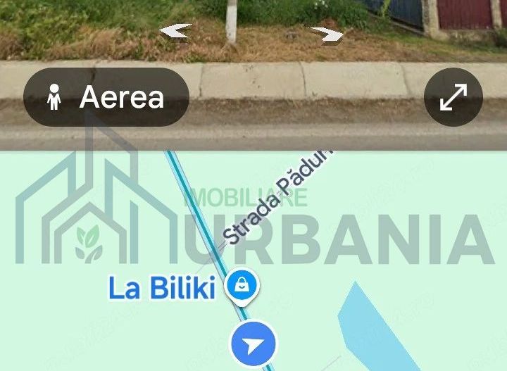 Teren 10.000 mp – Iepureni (Movileni), strada principală Iași-Movileni - Poză 1