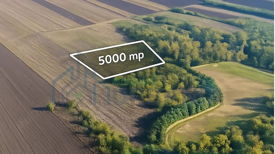 Teren extravilan 5000mp Proselnici Miroslava acte complete, lângă Eden Park - Poză 1