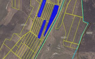 Vânzare, teren agricol, 2,1 ha, strada Drumul Romanovca , Ungheni - Poză 1