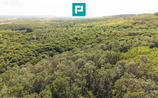 TEREN AGRICOL EXTRAVILAN  22.900 MP LIPOVA - Poză 20