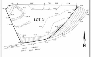 Teren intravilan - comuna Tarcău satul Brates - 3.333mp - Poză 2