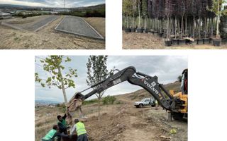 Teren intravilan 203 Ha Cluj Napoca - Poză 5