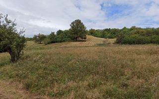 Teren 5200 mp-ideal cabane, case de vacante, agricultura-Livezile - Poză 1