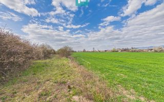 Teren extravilan, 1 ha, în orașul Sebiș, Arad - Poză 4