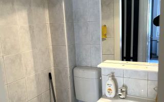 Apartament de inchiriat | 6 camere | Cismigiu - Poză 6