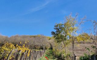 Teren intravilan 1308 mp Rediu | 9 min Copou / Pacurari - Poză 6