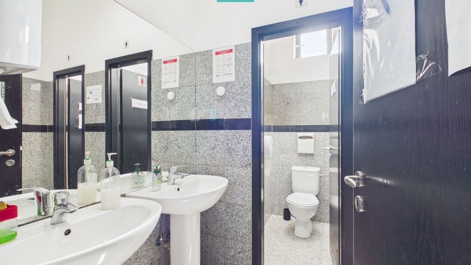 Spațiu de birouri zona Aradului - Poză 8