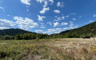 TEREN INTRAVILAN 2,26 HA | SUCEVITA | - Poză 8