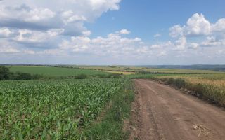 Teren cu spații industriale sau depozitare - Poză 10