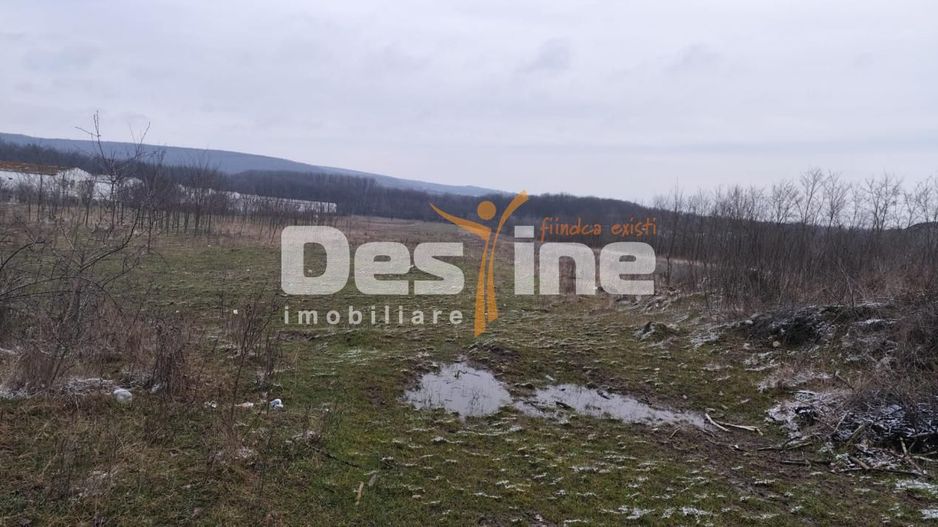 Teren intravilan 7500 mp - Poză 1