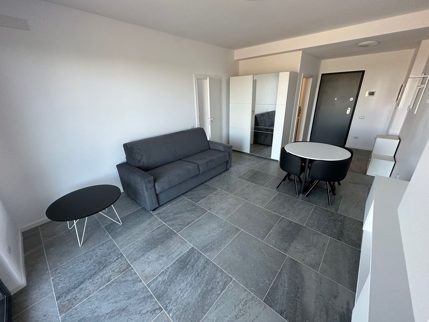 Apartament 1 camere Torontalului - Veterinary Faculty - Poză 2