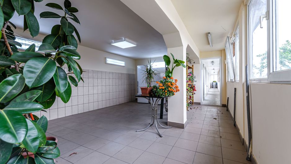 Spațiu comercial versatil, pe Calea Radnei - Poză 3