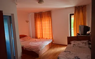 BRASADAS vinde casa individuala 9 cam in Bercu Rosu. - Poză 13