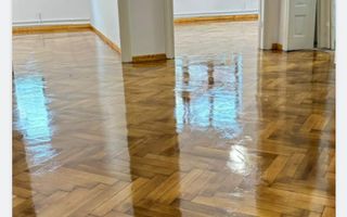 Vila cu farmec istoric, complet renovata, Palatul Parlamentului, Parcul Carol - Poză 10