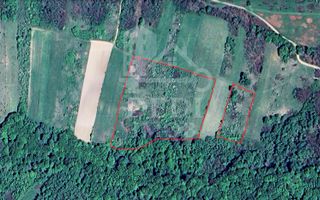 Teren 1 EURO/mp de vanzare in Tileagd-Balaia, Bihor - Poză 2