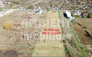 INVESTIȚIE!! Teren intravilan 10.000 mp, VASLUI - zona Muntenii de Jos; - Poză 3