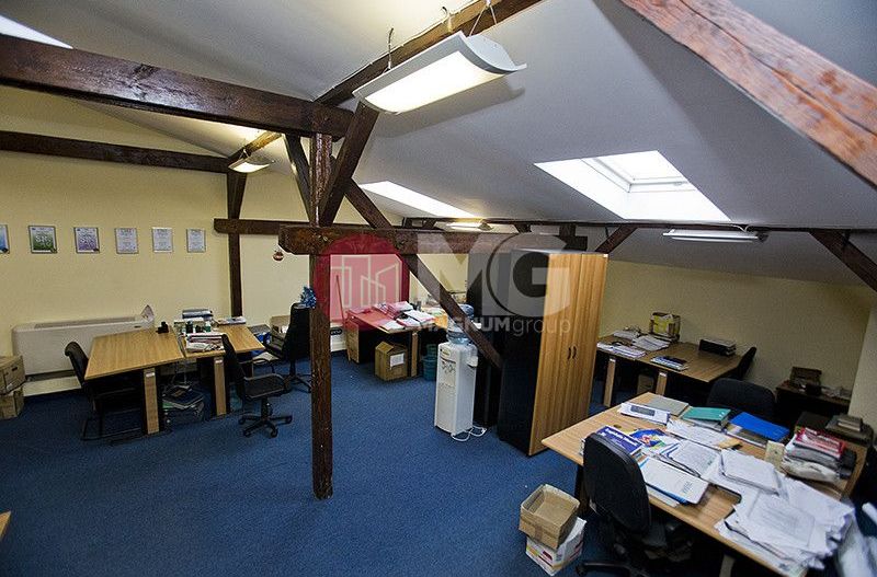 Vila exclusivista de inchiriat- pretabila Ambasada sau sediu de firma  - Poză 23