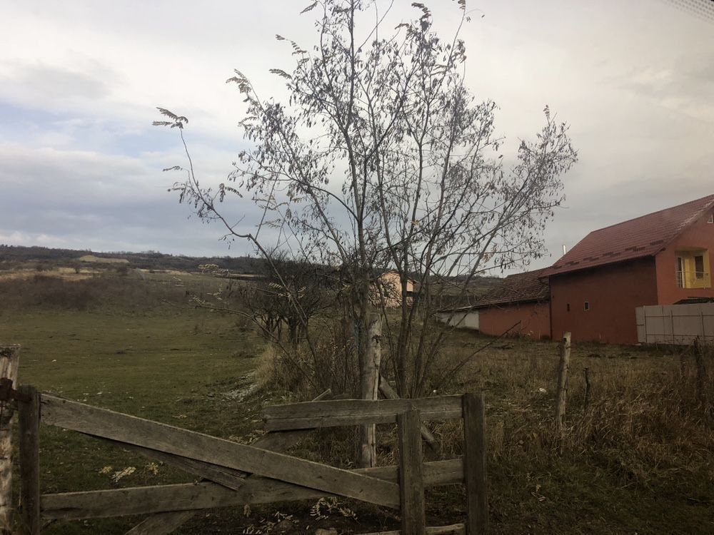 Parcela 7600 m2 Valea Fanatelor - Poză 4