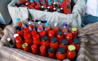 Proprietate cu 60000 mp pamant la pret de apartament - Poză 12