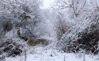 Teren cu izvor de apă minerală  Dangești, Punctul Valea Mare - Poză 23