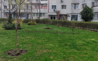 Apartament 2 camere, decomandat, zona Alexandru Rond 28, Iași - Poză 3