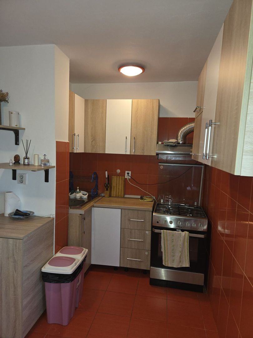 De Inchiriat apt 2 camere - Lacul Tei - Poză 4