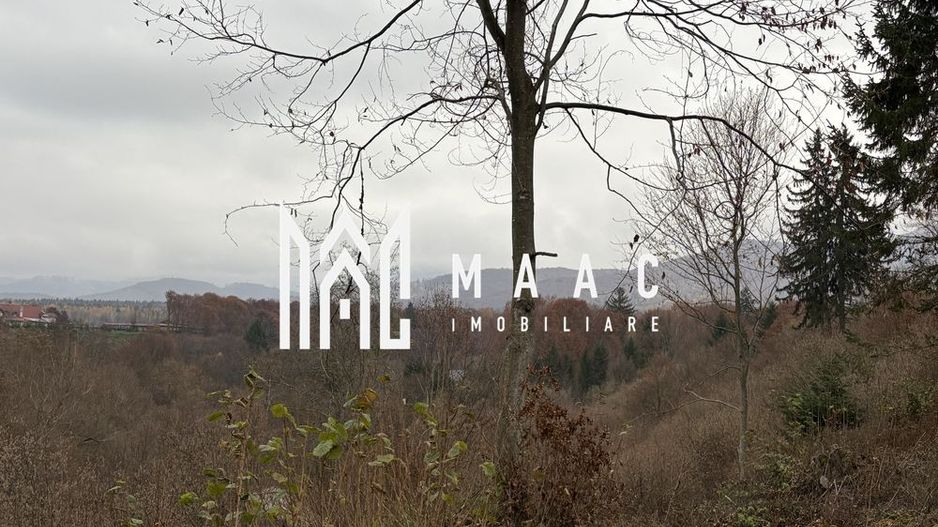 Teren intravilan | 2.000 mp |  Valea Avrigului - Poză 5