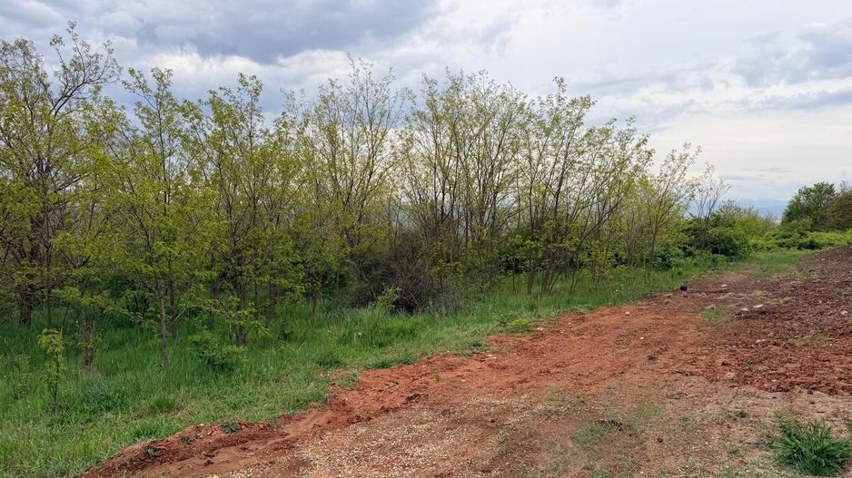 Teren Rezidențial Exclusivist în Zona Schit – 1.000 mp - Poză 1