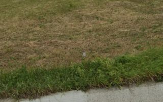 Teren de vânzare în zona Bordea, Comuna Grajduri, Iași - Poză 4