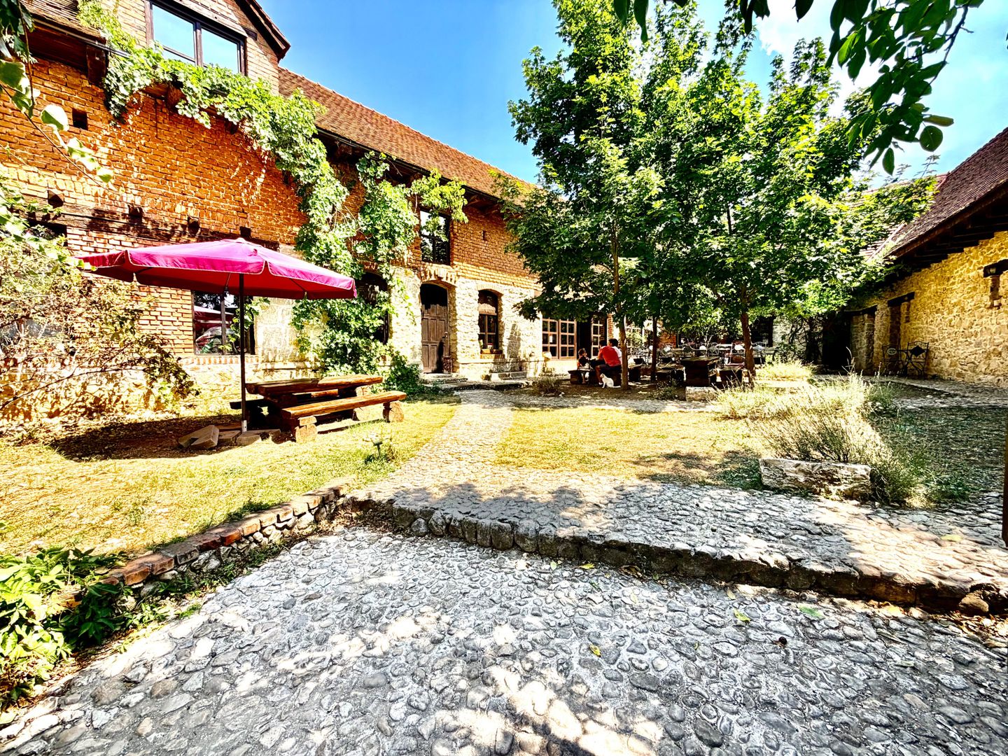 CASA THEA | INVESTIȚIE ÎN TURISM, GASTRONOMIE ȘI EXPERIENȚE | SOCOLARI - Poză 4