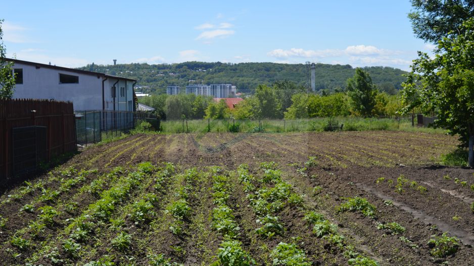 Casă Burdujeni/Suceava - Poză 56