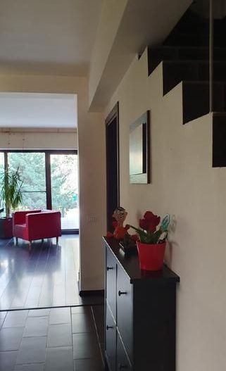 Vila langa padurea Baneasa, zona Liceul Francez, Sector 1, Bucuresti - Poză 6