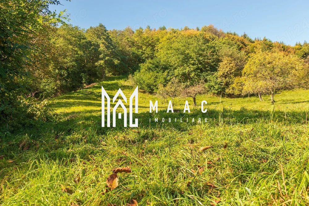 Teren | Intravilan | 2439 MPU | Fântânele - Poză 1