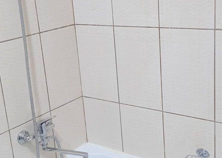 De inchiriat - apartament cu o camera, 56 mp - Faleza Dunarii - Poză 3