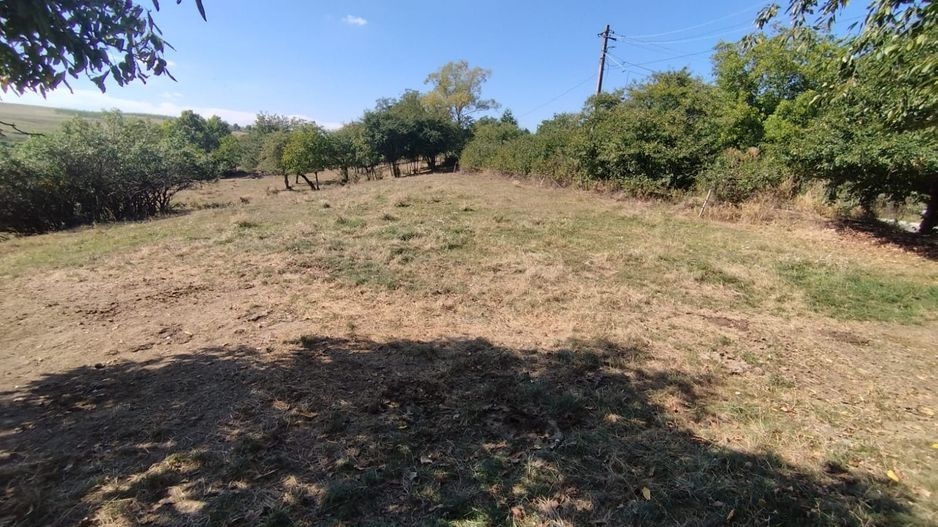 Teren intravilan | Mănăstioara – Siret | 2.200 mp - Poză 5