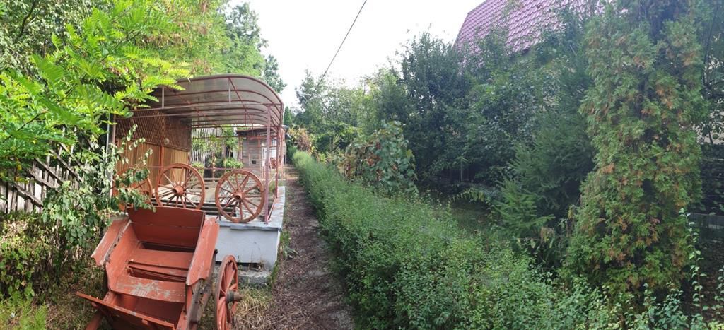 Casa de vacanta, zona Delea-Copou; - Poză 2