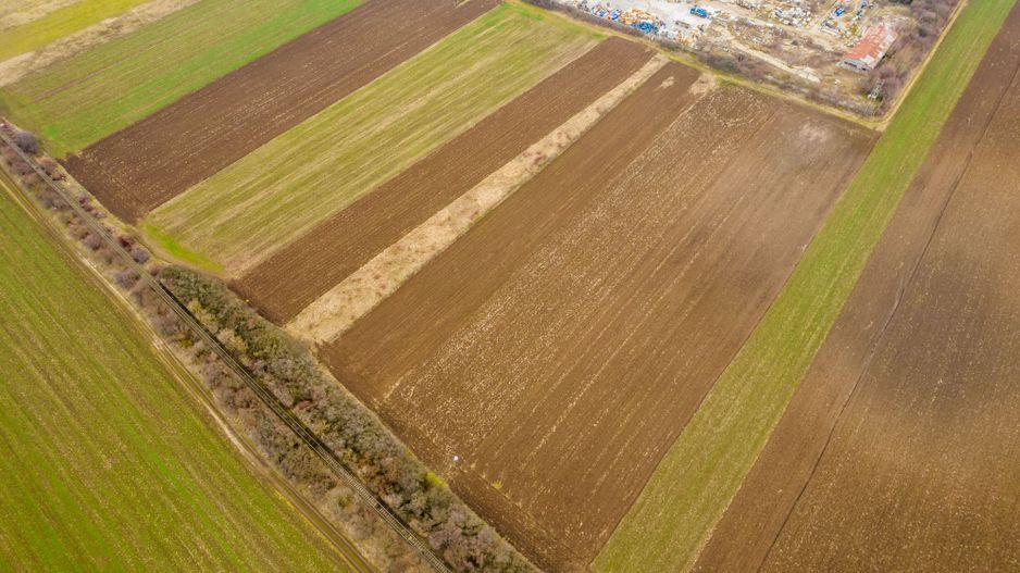 Teren 5000 mp ZĂDĂRENI - Poză 2