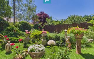 Spațiu de închiriat – Zona Mircea cel Bătrân - Poză 6