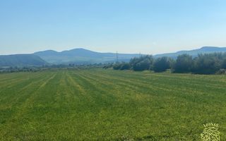 Teren 13400mp la DN 17-parcelabil Podirei - Poză 7