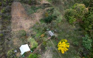 Teren 18,300mp Ghioroc - Poză 17