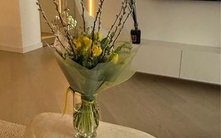 2 Camere Deluxe | Cortina North - Poză 3