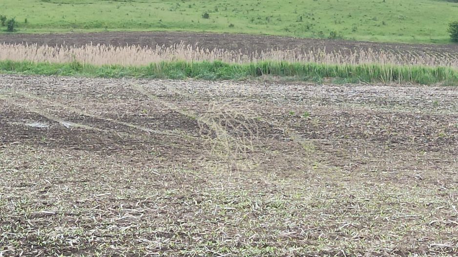 Teren intravilan 1000 mp cu utilitati-ideal casa P+2E-Sarata - Poză 1